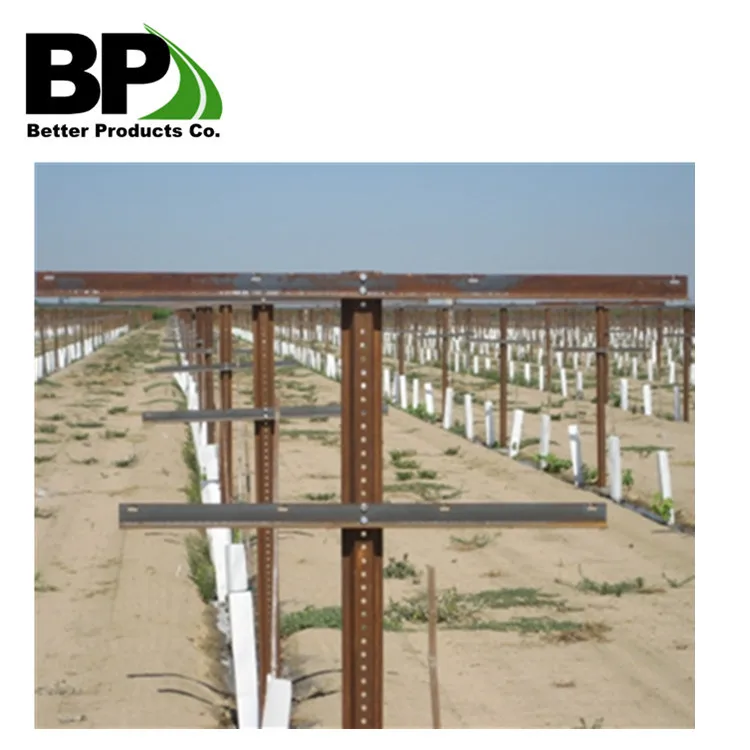 OEM Agricultural Apple Orchard | Vineyard Perforated Posts Trellis Post