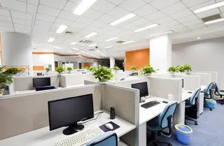 Shenzhen Levensun Technology Co., Limited 1