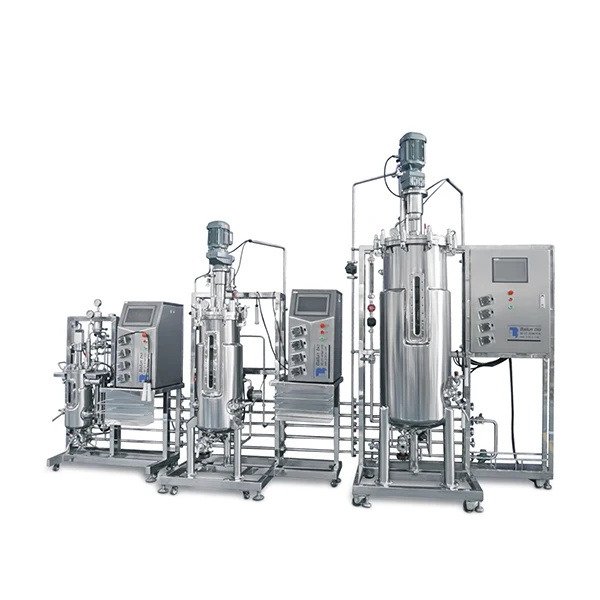 Type of Fermenter Ppt Templates Bioreactor Upstream Processing Kombucha Fermentation