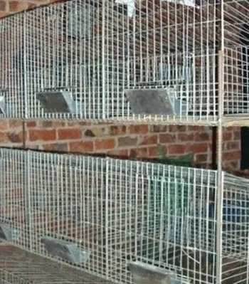 all wire rabbit cages