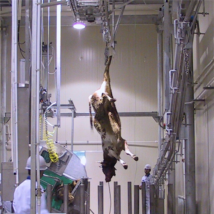 Halal meat slaughtering machinery camel slaughterhouse craft