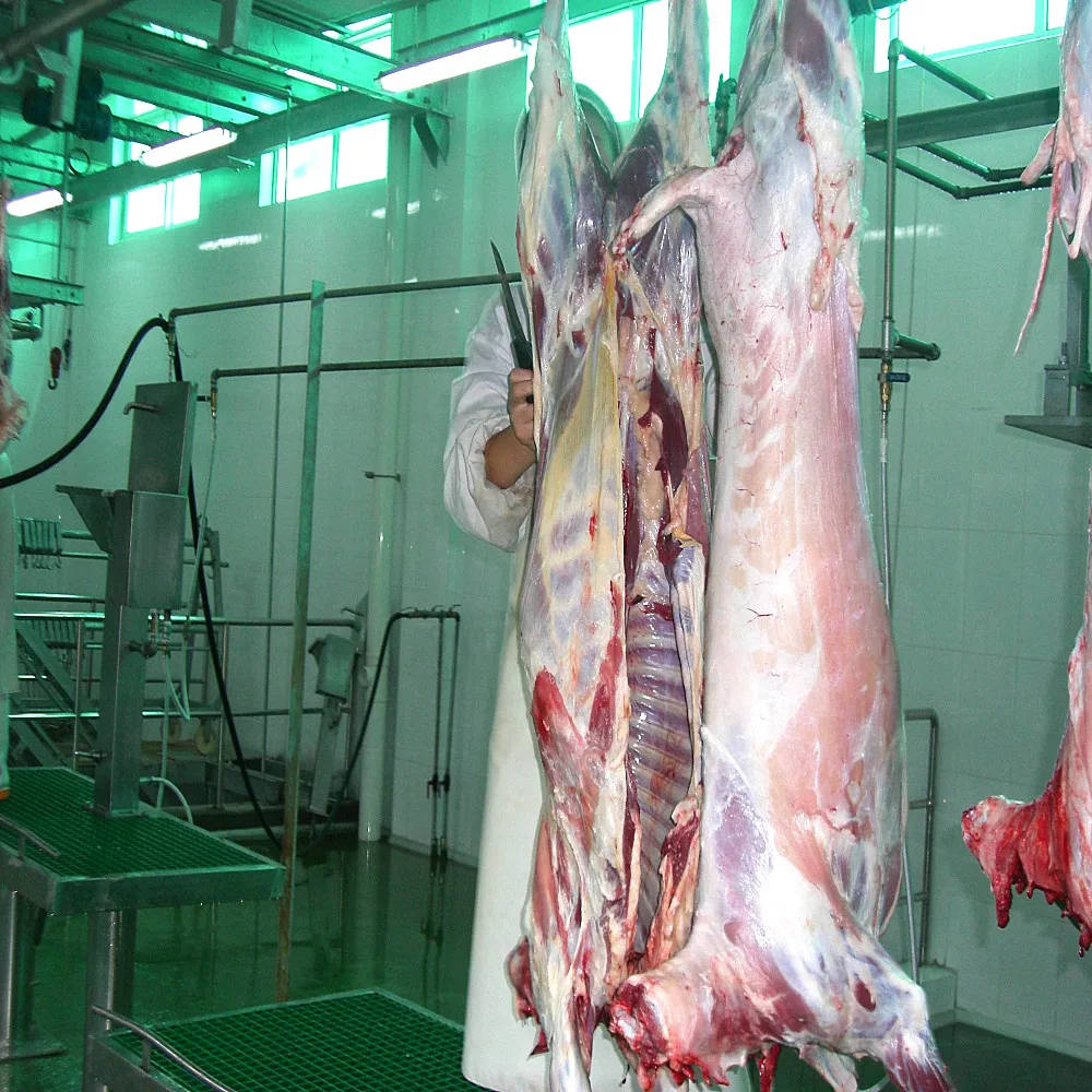 Turnkey Project Sheep Slaughter Line Halal Slaughter Machine Goat and Lamb Slaughterhouse Equipment