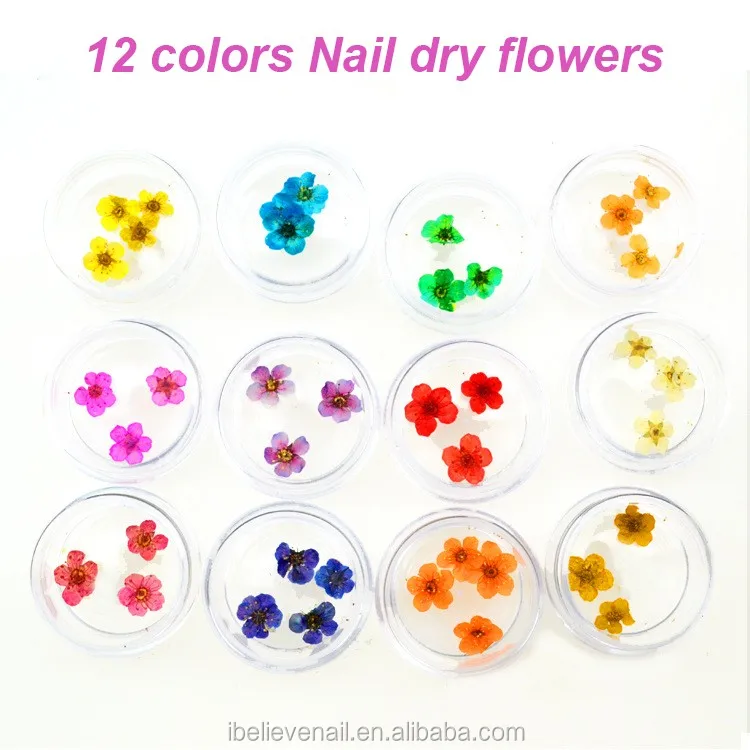 Новый стиль 12 видов цветов украшения прессованные натуральные
