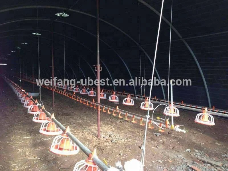Chicken Farming Poultry Control Shed Automatic Layer Battery Cage Equipment for Egg Laying Hens