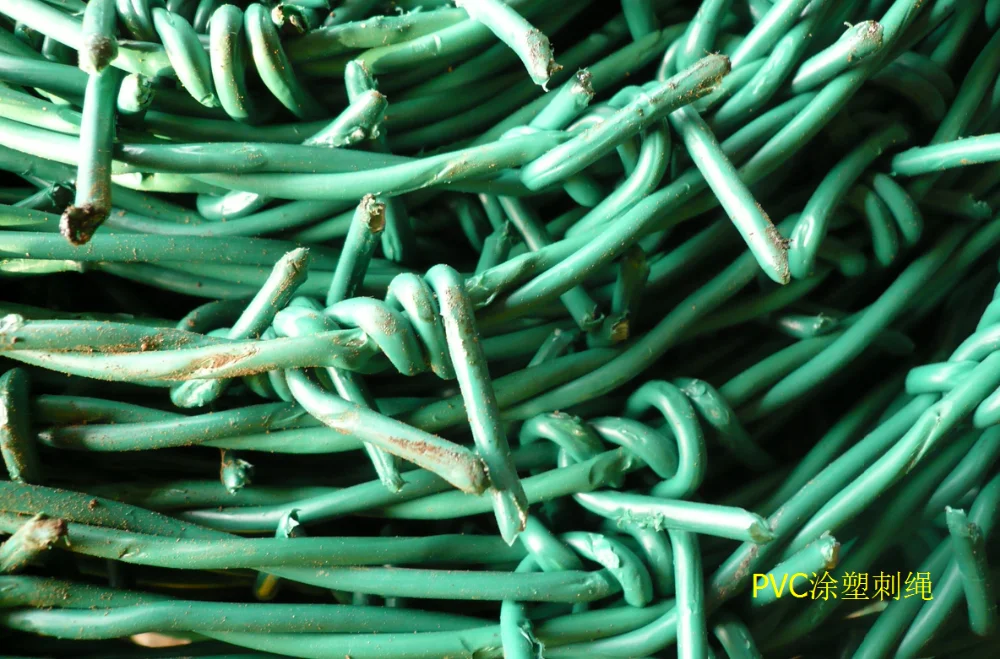 PVC coated green color reverse twist barbed wire on sale