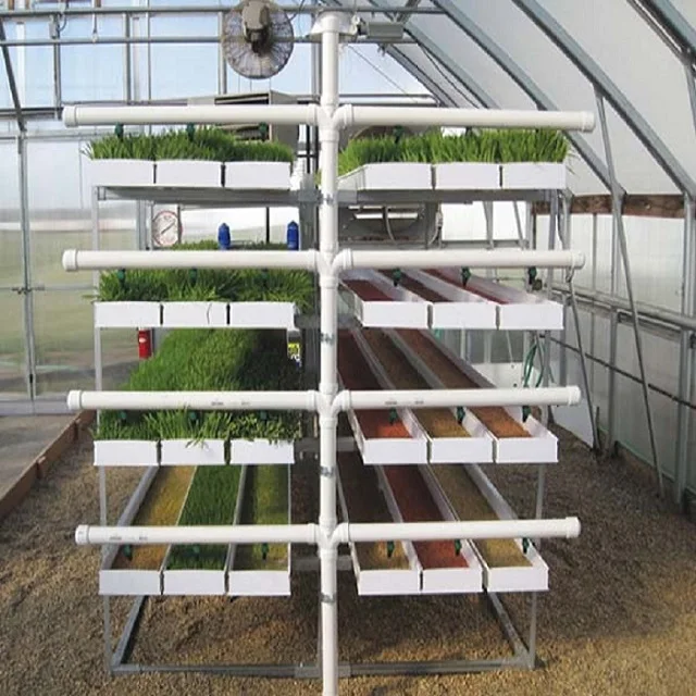 Greenhouse Fodder Hydroponic Growing System Complete Vertical Indoor Hydroponic Lighting Growing Systems