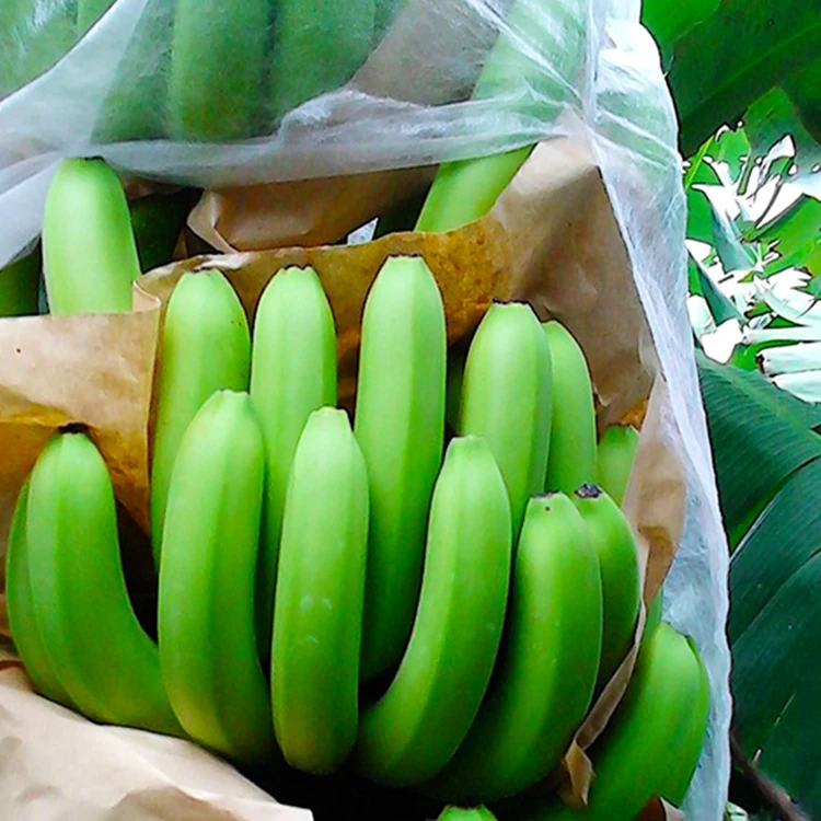 Eco-friendly Agriculture Plant Cover Biodegradable PP Non Woven Banana Bag