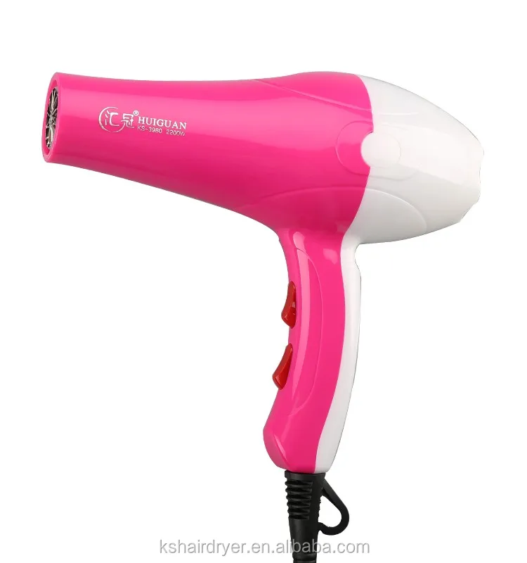 Secador de pelo inalámbrico, secador de pelo recargable inalámbrico  portátil con batería recargable de viento frío y caliente para soplar el  cabello/secado de pintura/viajes al aire libre - PREYCA