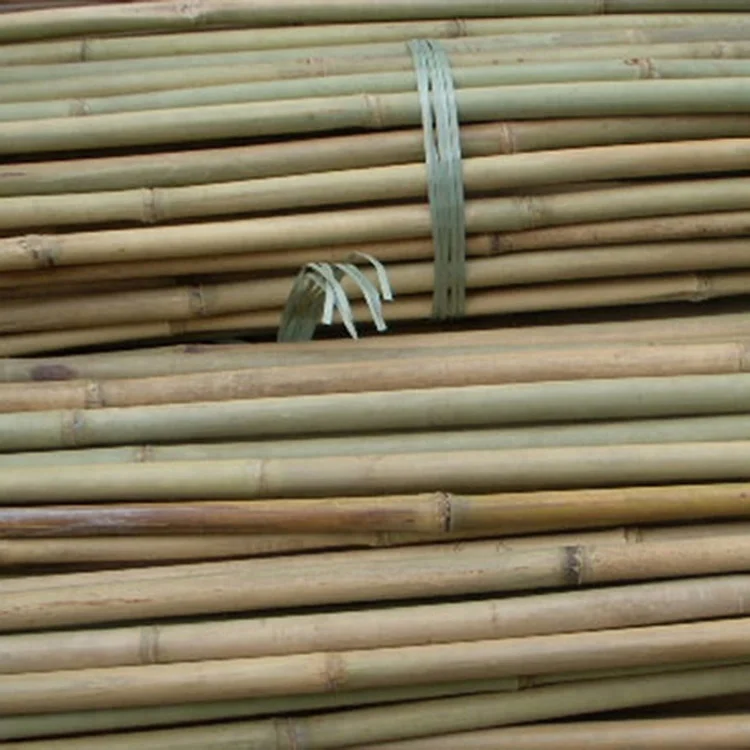 1 bamboo poles