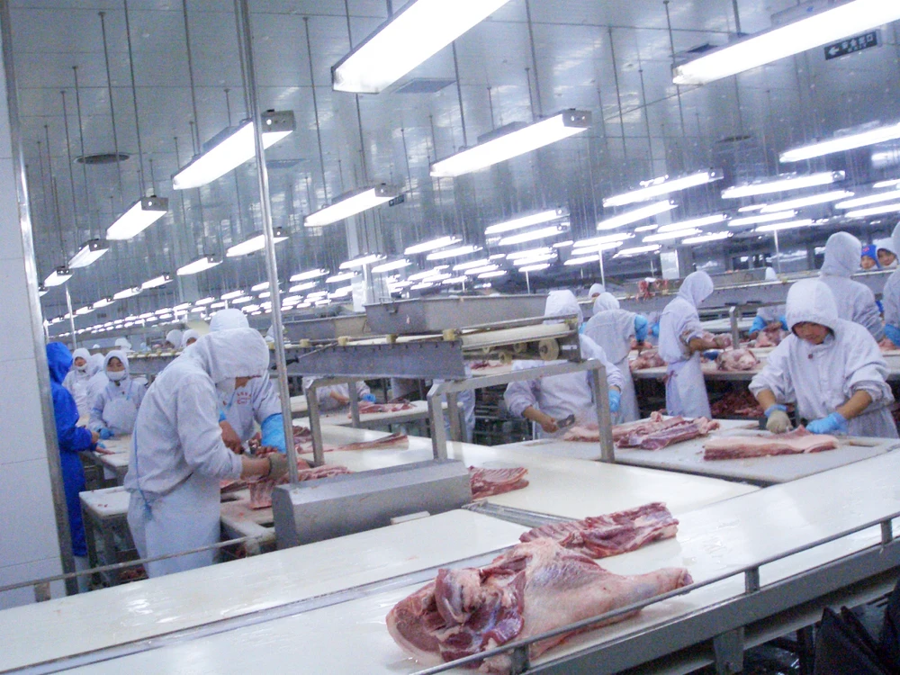 Sow slaughterhouse slaughtering equipment pig electric stunner for food industry