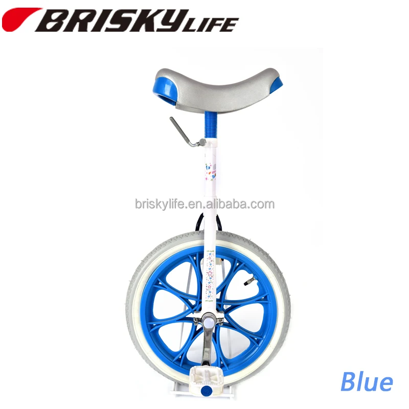 Unicycle Bicycle One Wheel Bike 