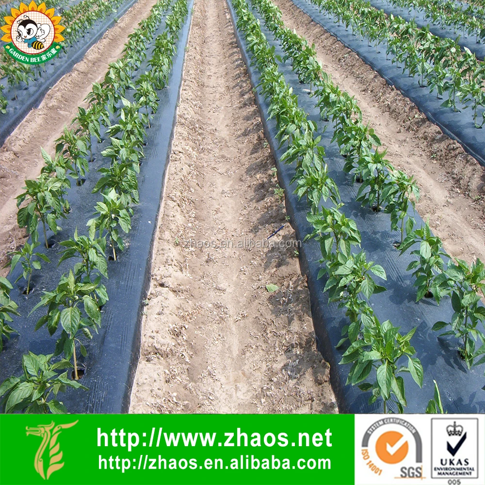 Glass Cover Material And Multi Span Agricultural Used Plastic Mulch Layer Buy Used Plastic Mulch Layer Agricultural Used Plastic Mulch Layer Agricultural Plastic Mulch Product On Alibaba Com