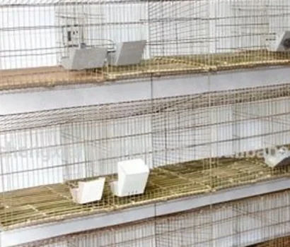 rabbit breeder cages
