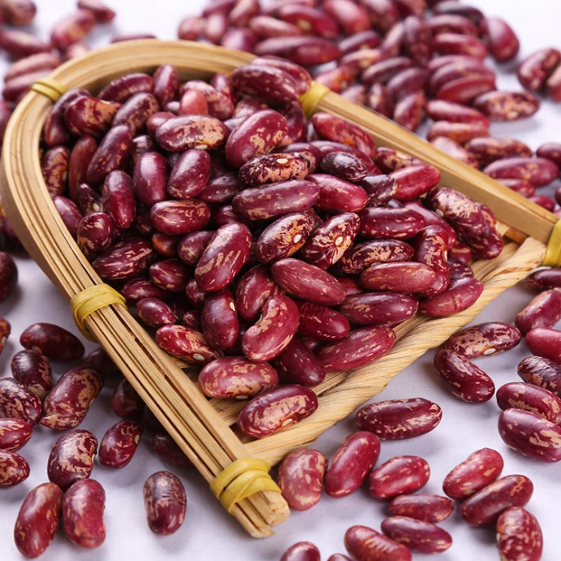 Wholesale Pinto Bean Red Speckled Kidney Beans for Wholesale Organic Red Kidney Bean