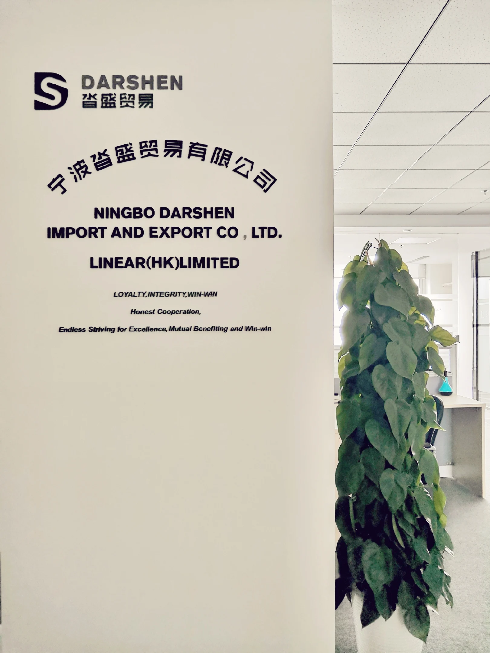 Ningbo Dasheng Trading Co., Ltd.