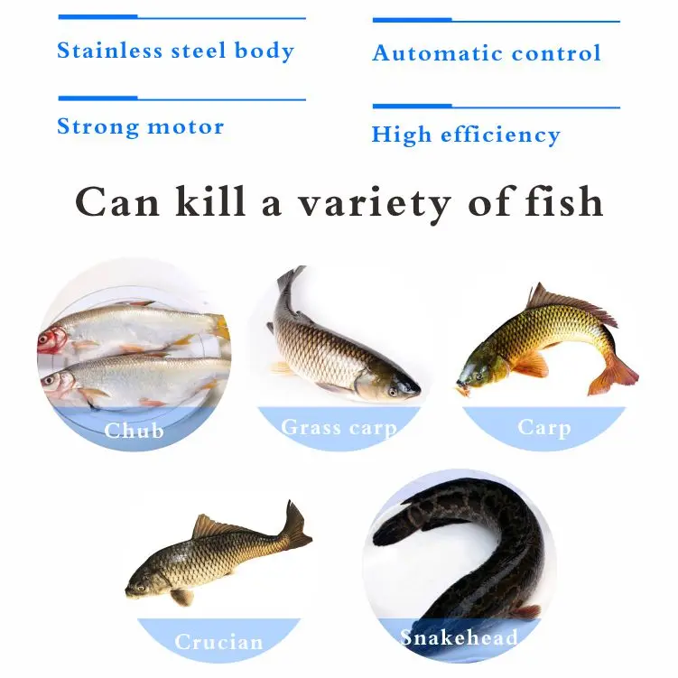 Durable Fish Scaling and Gutting Killing Machine  Fish Viscera Removal Scaler Guts Removing Gutting Descaling Machine details