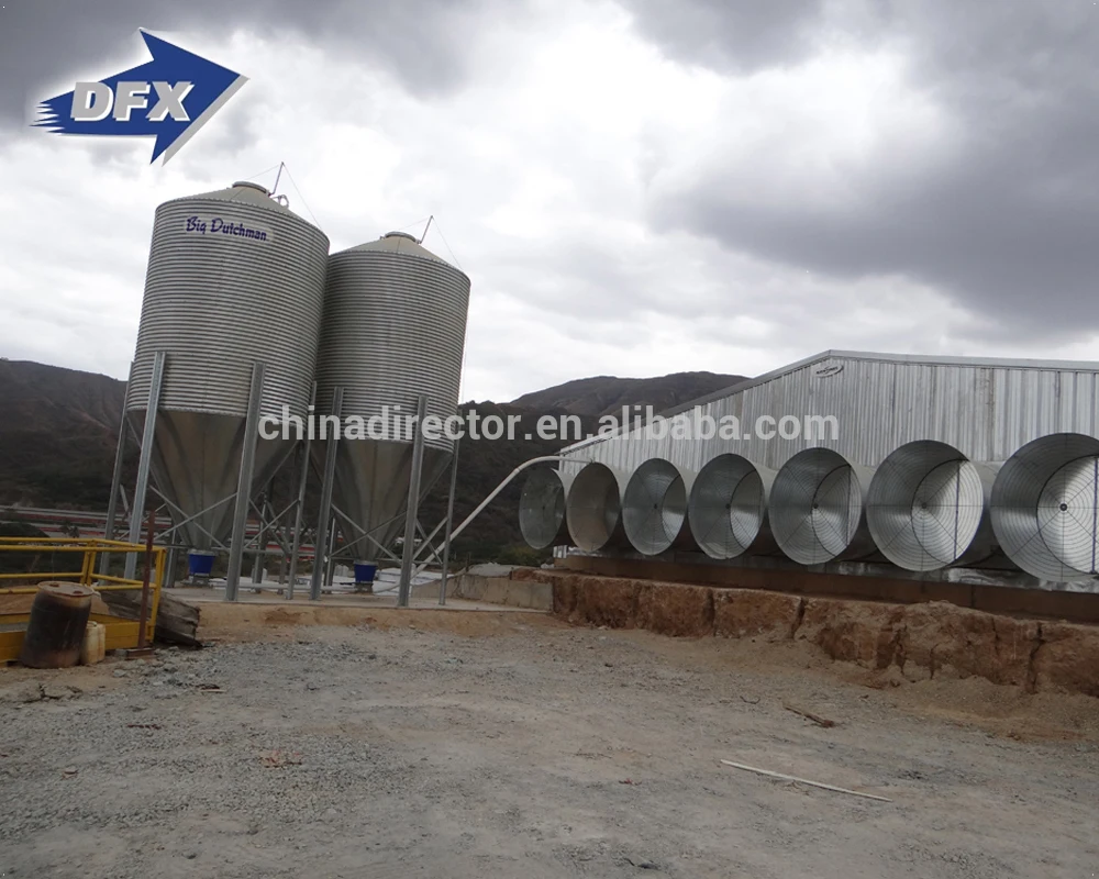 Modern Large-scale Automatic Poultry Farm for Broiler Poultry Chicken House Design for 5000 Chicken