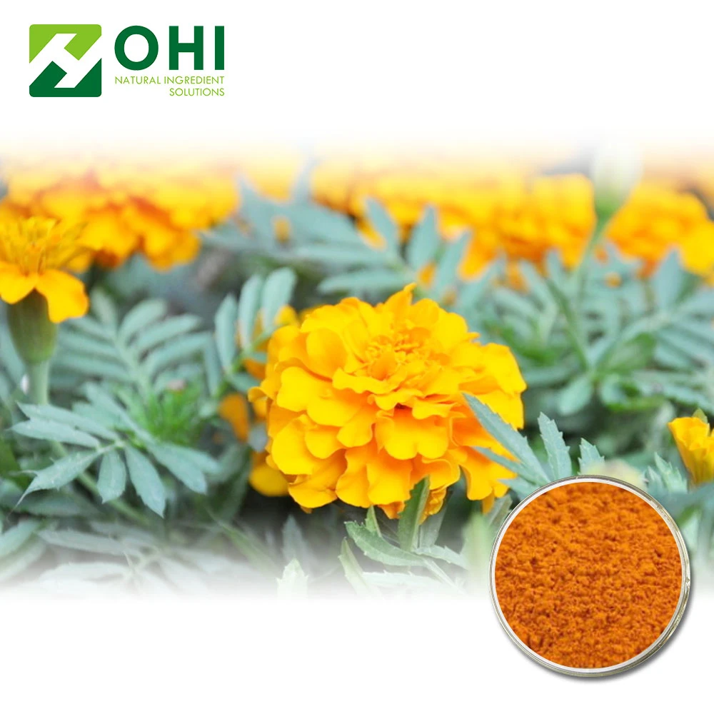 Marigold Ekstrak Lutein Bubuk Marigold Ekstrak Bunga Buy Marigold Ekstrak Bunga Marigold Ekstrak Lutein Bubuk Product On Alibaba Com