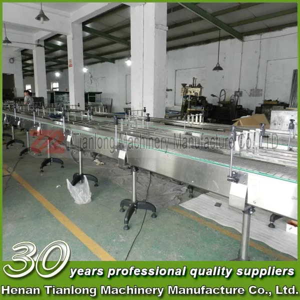 Tianlong OEM Service Chain Slat Conveyor for Silo
