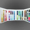 Color personalizado