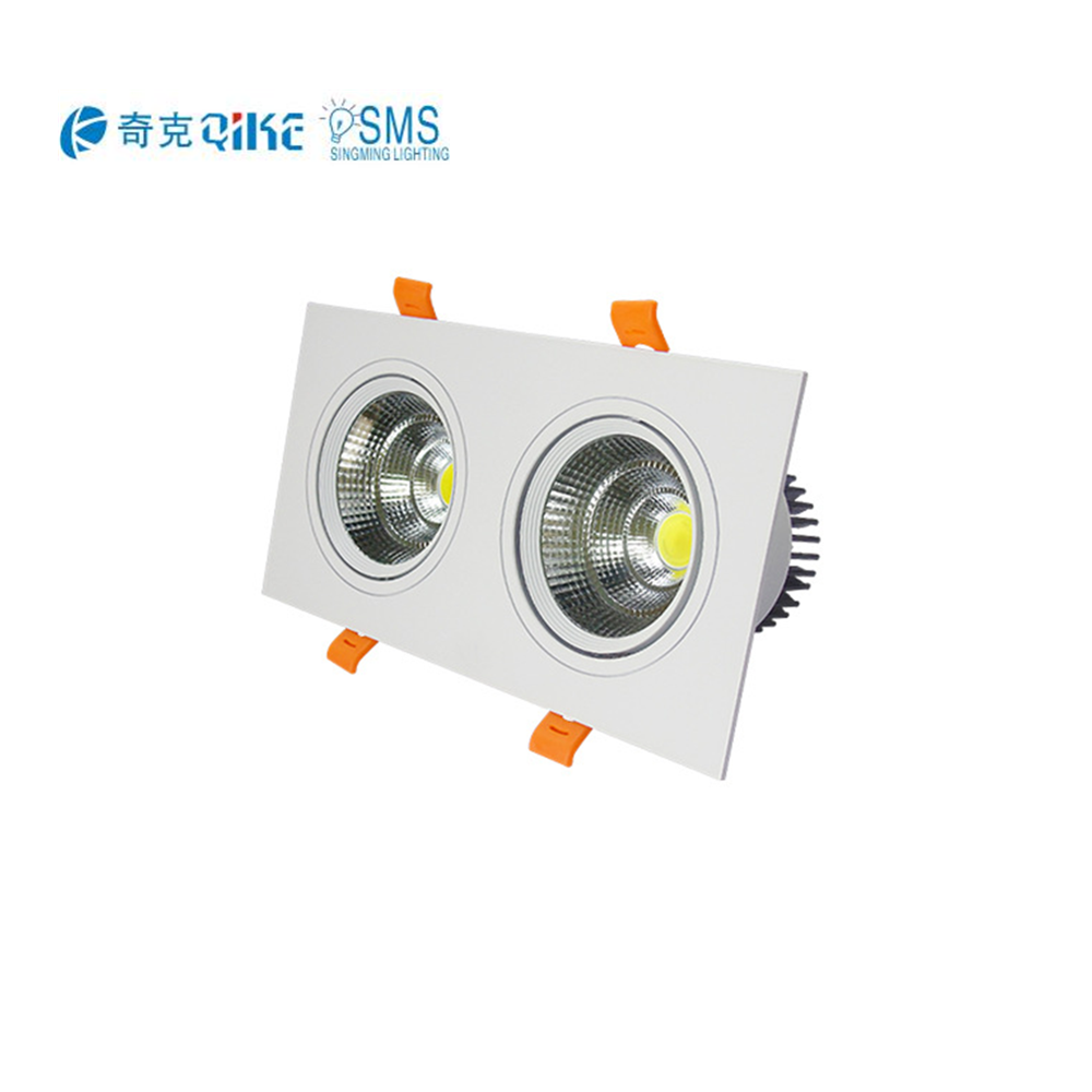 2 головки 7 Вт 10 Вт 12 Вт 20 Вт 30 Вт 300-6500K ip65 LED COB двойной потолочный светильник