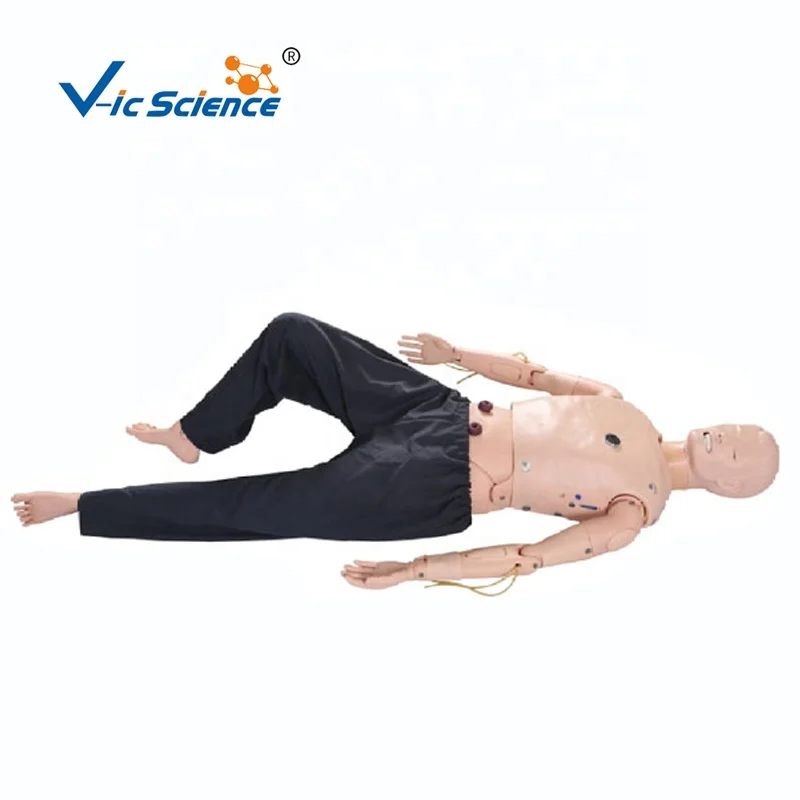 応急処置 ダミー 人形 心肺 蘇生 人形 Amazon co jp 教育モデル CPR 