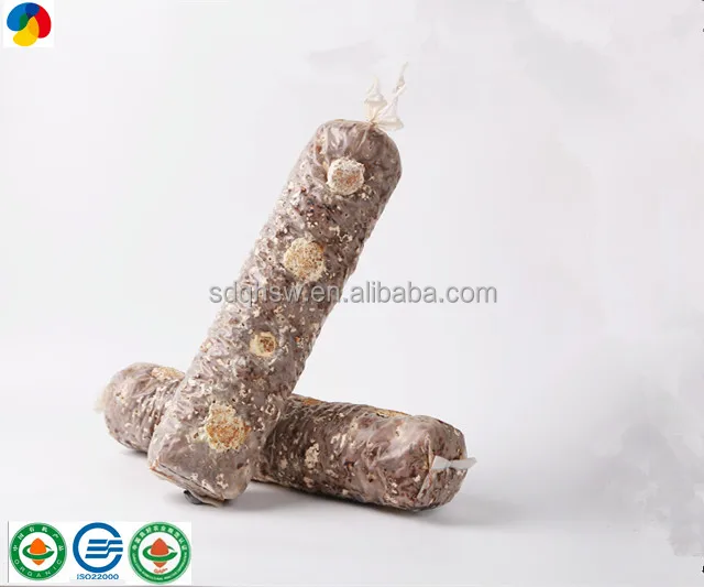 Высокопроизводительные замороженные грибы Shiitake для выращивания