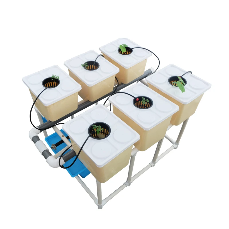 Complete Hydroponic Dutch Bucket System for Growing Vegetable in Greenhouse  Aquaponics Growing Systems