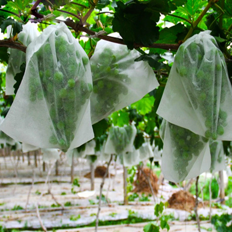 Eco-friendly Agriculture Plant Cover Biodegradable PP Non Woven Banana Bag