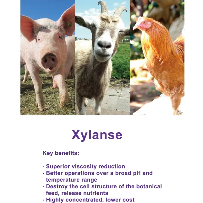 Price of Feed Additive Production Xylanase Enzyme for Animal Nutriation to Promote Digestion