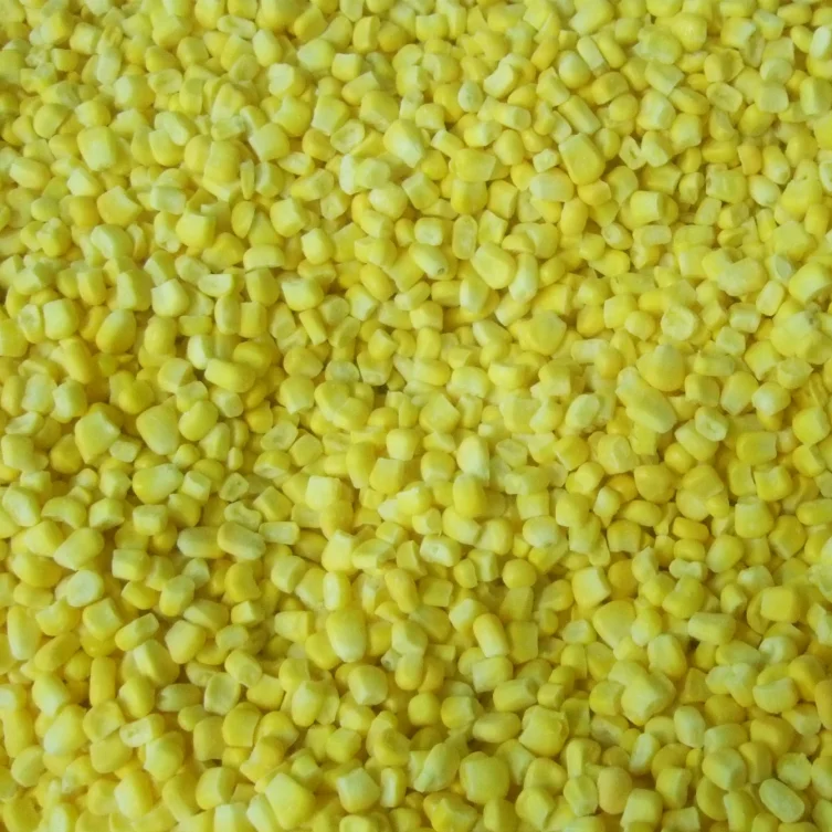 Supply Chinese IQF Whole Kernel Sweet Corn