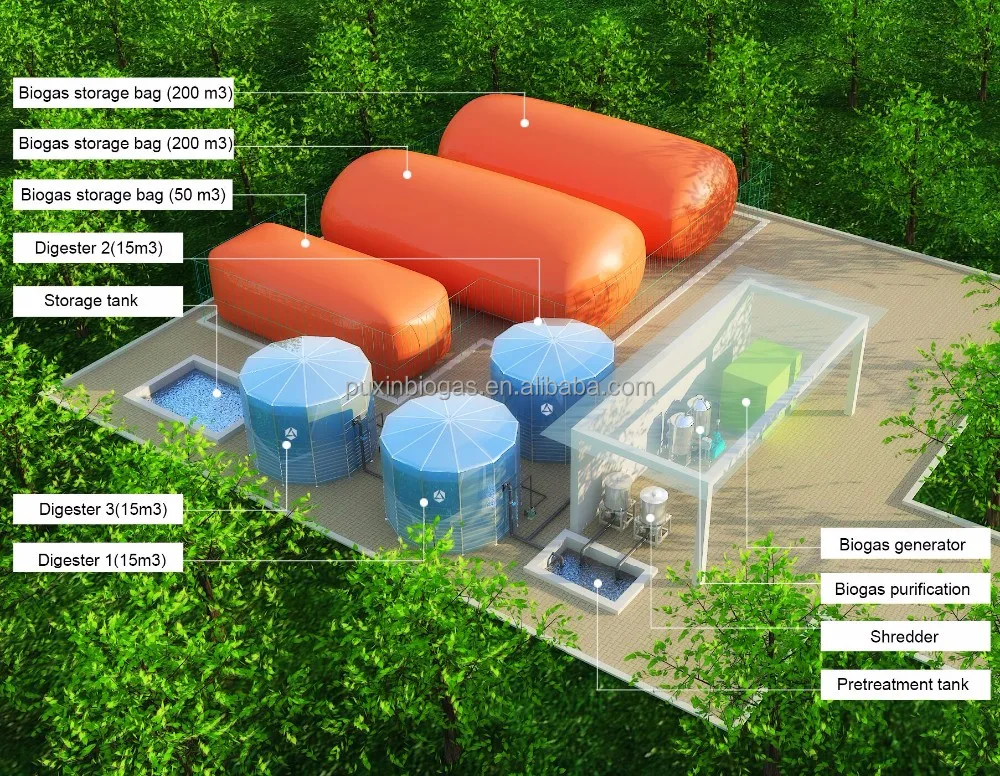 bio gas power plant for livestock farm to treat animal manure