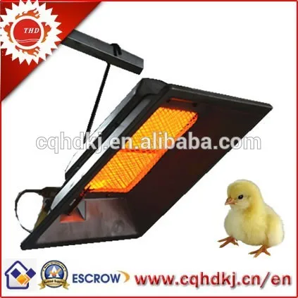 Aves Pollo Gas Criadora Venta ( Thd2606 ) - Buy Criadora Product on  
