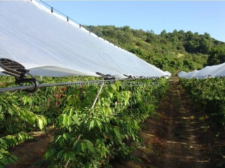 20m X2m UV Resistant Plastic Rain Covers for Orchards Cherry Table Grape Protection Cover PE Tarpaulin
