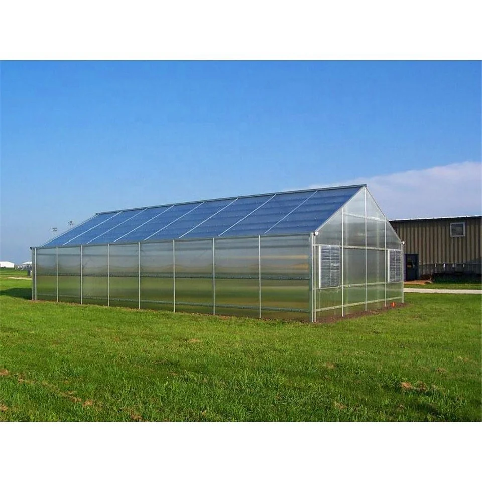 Standard DongJu800 medical herbs/hemp grow commercial Single-span Greenhouse Polycarbonate Sheet Cov