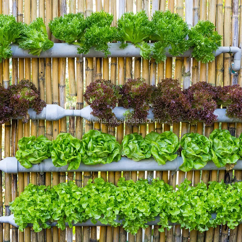 近未来農業 水耕栽培 タワー型 2タイプ 195cm 135cm 近未来農業 水耕栽培 タワー型 2タイプ 195cm 135cm