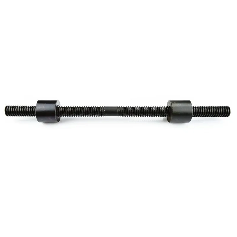 Factory Price M3 M5 Tr12 Lead Screw