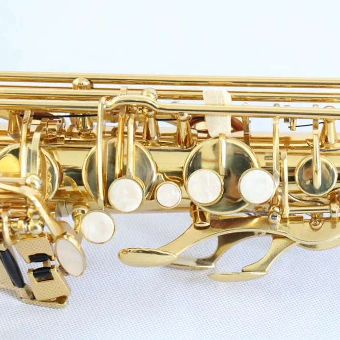 Student Bb Tenor Saxophone Popular Musical Instrument for Beginners and Enthusiasts