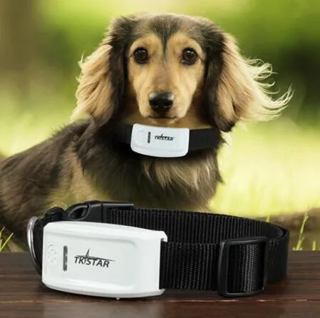 最新款式 gps gprs lbs 准确位置定制 gps 狗项圈与 ce rohs 证书