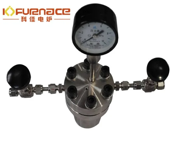 100ml Hydrothermal Synthesis Reactor for Zeolite Synthesis