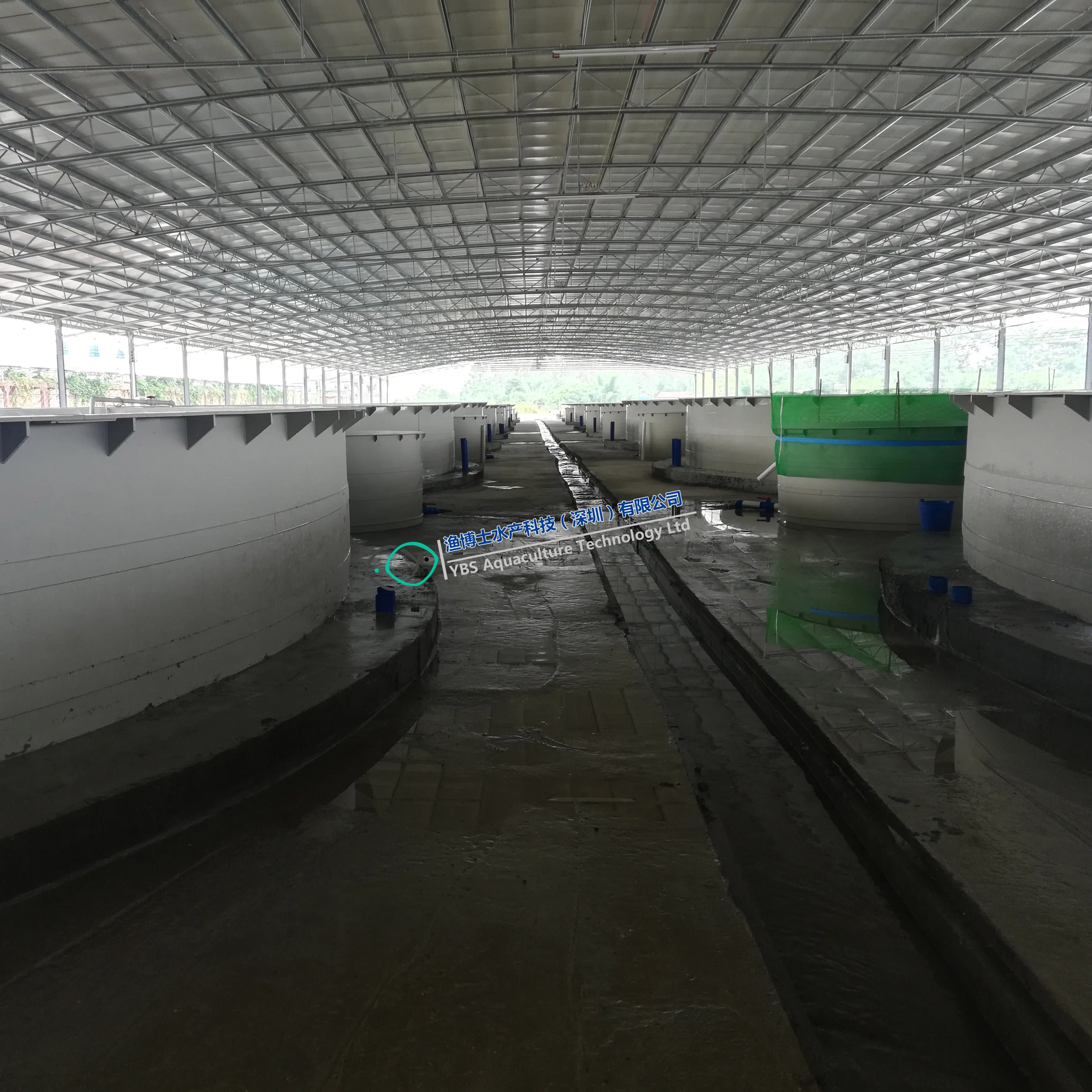 Cold Water Feeding Salmon Recirculating Aquaculture System in Landbase