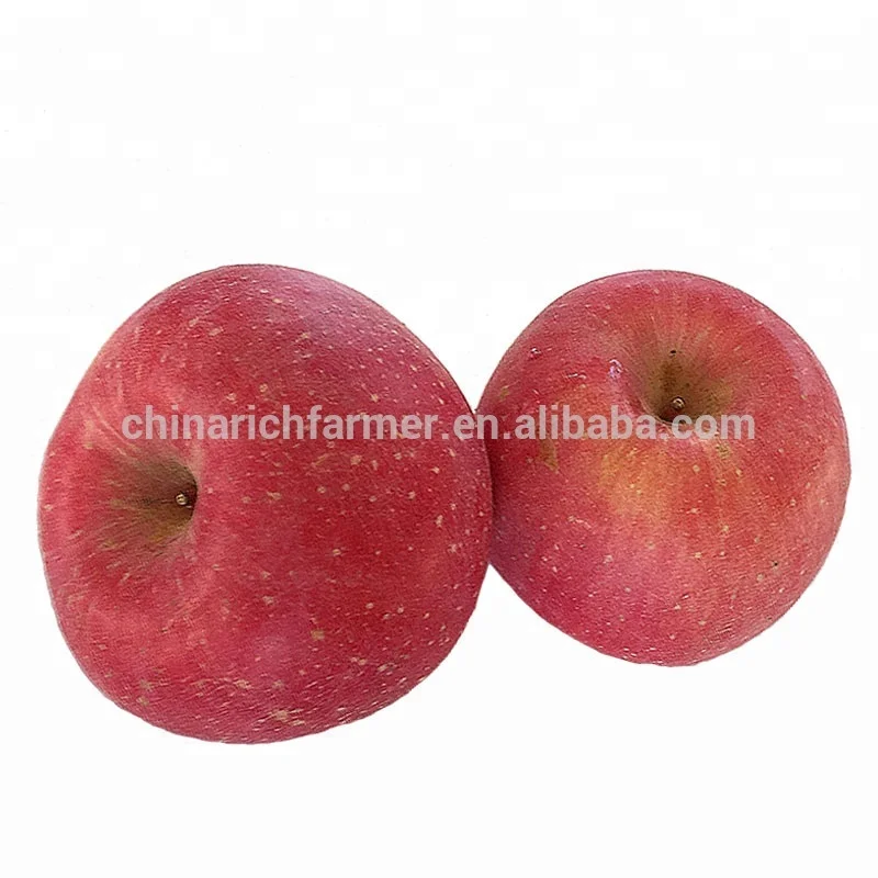 China Fresh Blush Red Fuji Apples Fruit Export to Indian Market
