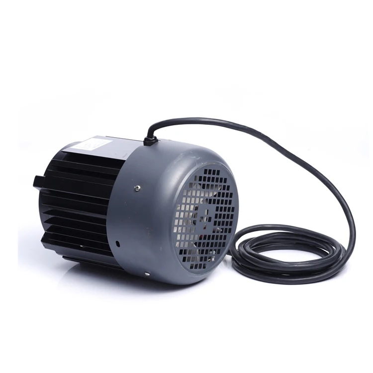 Waterproof Class F Bldc Fan Motor 48v 24v 900w 3000rpm  Dc Brushless  Electric Motor Permanent Magnet Dc Motor for Boat
