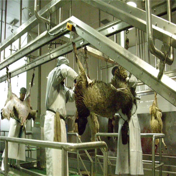 1000 Sheep Slaughter Equipment Sheep Breeding Slaughterhouse