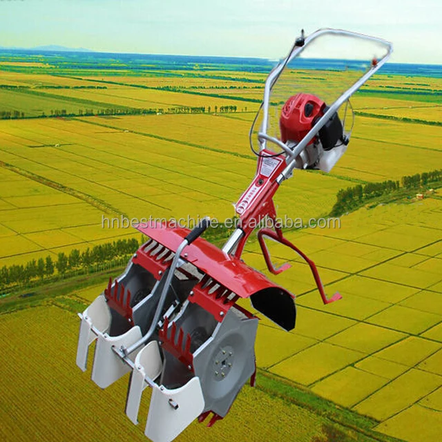 Gasoline Grass Cutter Machine in Philippine / Weeding Cutting Machine for Rice Field