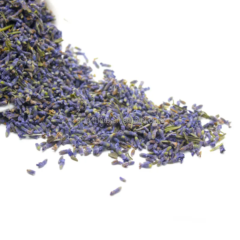 Free Sample Natural Dried Lavender, Chinese Herbs, Flower Tea for stress relief