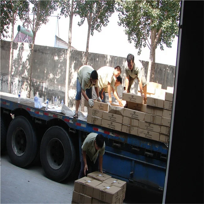 Медицинская научная модель человеческого заболевания печени медицинская обучающая для обучающего оборудования Обучающие ресурсы