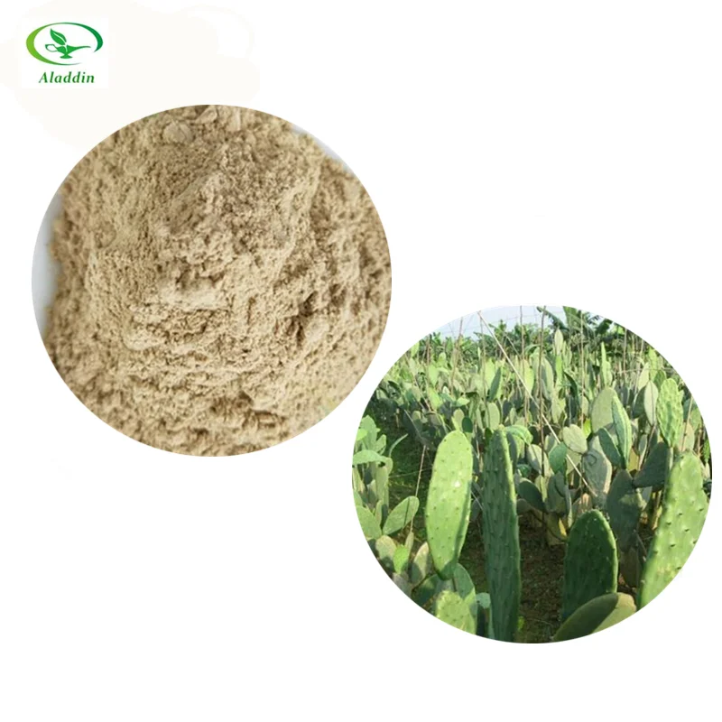 High Quality Herbal Extract Cactus Powder Cactus Juice Powder Nopal Cactus Powder Buy Cactus Powder Cactus Juice Powder Nopal Cactus Powder Product On Alibaba Com