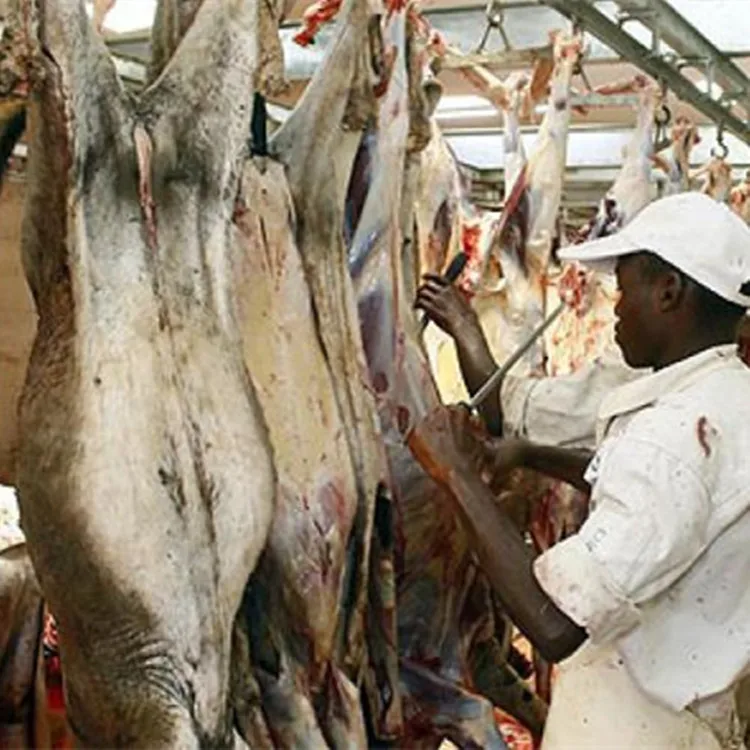Donkey meat slaughterhouse processing and slaughtering machine