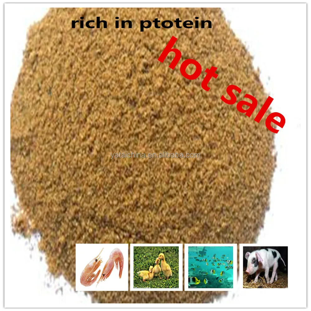 Animal feed trading companies(meat meal powder)